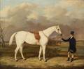 Thomas W Bretland British 18021874 Catton