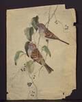 Louis Agassiz Fuertes American 18741927 Lot of Two Bird Studies