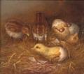 Howard L Hill England d 1870 Chick Hatchlings