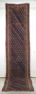 Northwest Persian Runner