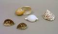 Five Seashells