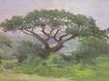 Oil Landscape with Large Tree