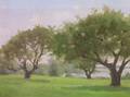 Oil Summer Landscape with Trees