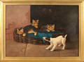 Two oil on board works of kittens