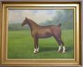 Framed Oil on Canvas Portrait of a Horse