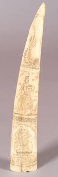 Engraved Walrus Ivory Tusk