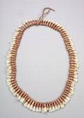 Plains Animal Tooth Necklace