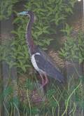John Costin American 20th Century Large Framed Handcolored Etching of a Tricolored Heron