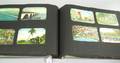 Albums of Early 20th Century US Southern Trip Postcards