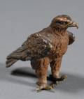 Small Viennese Cold Painted Bronze Figure of an Eagle
