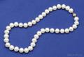 Cultured Freshwater Pearl Necklace