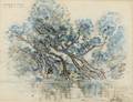 Walter Parson Shaw Griffin FrancoAmerican 18611935 Trees on the Riverbank