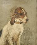 American School 19th Century Portrait of a Dog