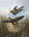 Lawrence Carmichael Earle American 18451921 Woodcocks in Dropping Flight