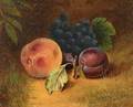 Attributed to Jane C Van Schaick American 19th Century Still Life with Fruit