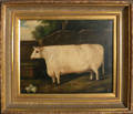 Contemporary oil on canvas folk painting of a cow