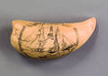 American scrimshaw whale tooth early 20th c