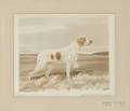 Reuben Ward Binks British 18801950 Pointer
