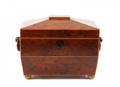 19th Century English SarcophagusShaped Tea Caddy