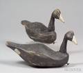 Pair of Carved Wooden Scoter Decoys