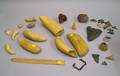 Group of Undecorated Whale Teeth Shark Teeth and Shells