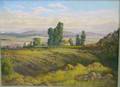 20th Century Oil on Canvas South Africa Landscape