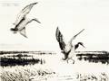 Churchill Ettinger American 19031984 Mallards Alighting