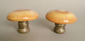 Pair of English silver and enameled mushroom form shakers