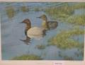 Lot of Two Offset Prints by Robert Verity Clem American b 1933 Canvasbacks