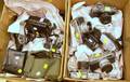 Large Group of Mainly Japanese 35mm and SLR Cameras