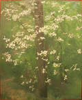 Oil on canvas of dogwoods