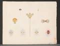 Lot of Thirteen Drawings Attributed to CL Wright American 19th20th Century Edwardian and Art Nouveau Jewelry Designs