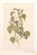 Audubon John James 17851851