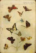 American School 19th Century Butterflies