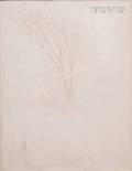 William McGregor Paxton American 18691941 Tree and Fence and Figure StudiesA Doublesided Drawing