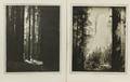 Robert D Wild American 19181982 Two Views of Yosemite Park