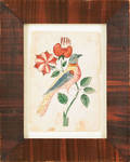 Southeastern Pennsylvania watercolor fraktur bookplate 19th c