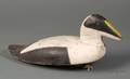 Carved and Painted Eider Duck Drake Decoy