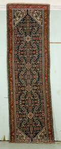 Northwest Persian Runner