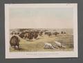 Currier  Ives publishers American 18571907 Buffalo Hunt Under the White Wolf Skin