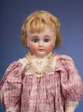 Bisque Belton Shoulder Head Doll