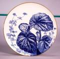 Wedgwood Handpainted Pearlware Charger