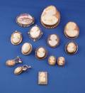 Twelve Carved Shell Cameos