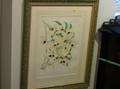 Three Framed Color Lithographs of Orchid Specimens