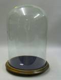 Circular 18inch Glass Dome