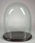 Oval 25inch Victorian Glass Dome