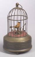 Singing Bird in Cage Automaton