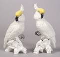 Pair of Crown Staffordshire Porcelain Artistsigned Cockatoo Figures