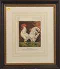 Six Chromolithographs of Prize Poultry