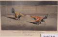 Lot of Three Framed Prints American CockFighting Scenes